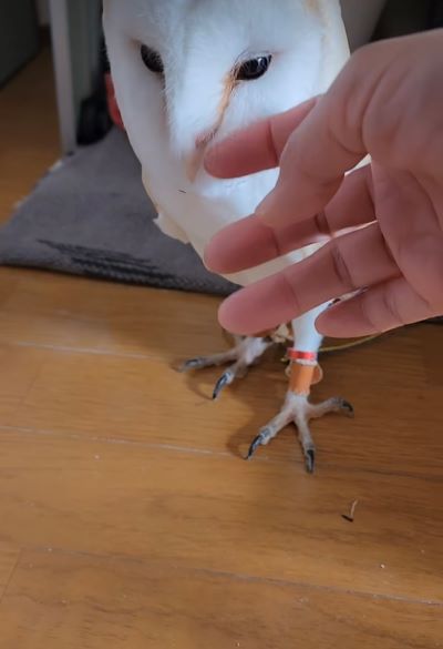 投稿動画のワンシーン