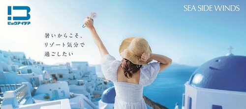夏のお出かけに「冷却プレート付きダブルファン」（1980円）
