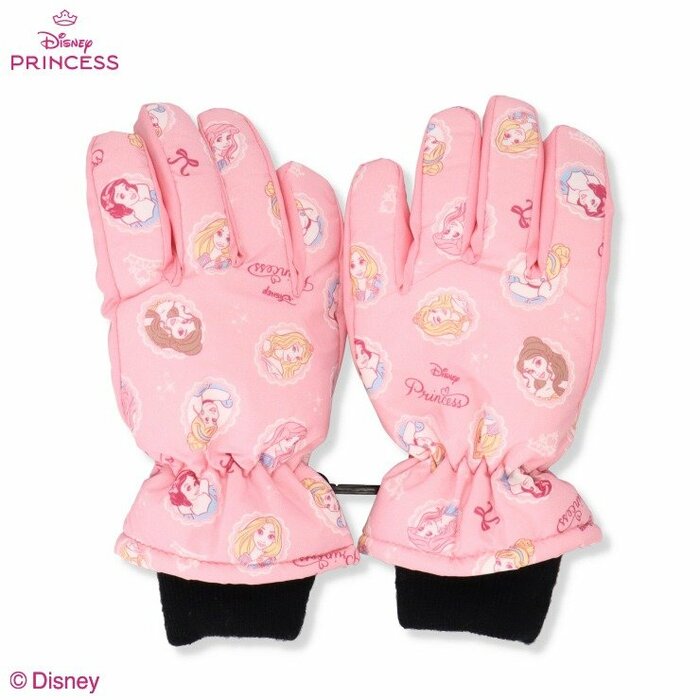 ディズニープリンセスたちが集合したキュートなデザイン