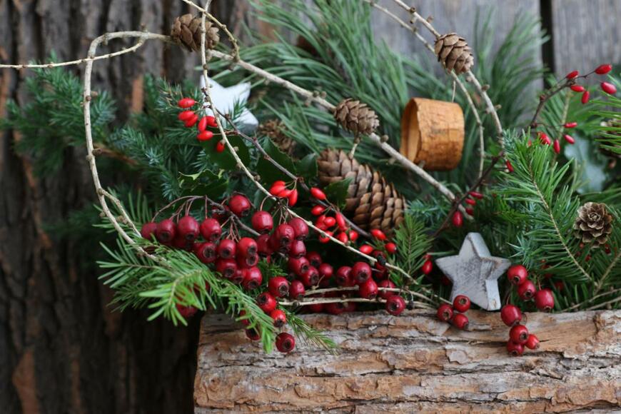 Galina Grebenyuk/shutterstock.com