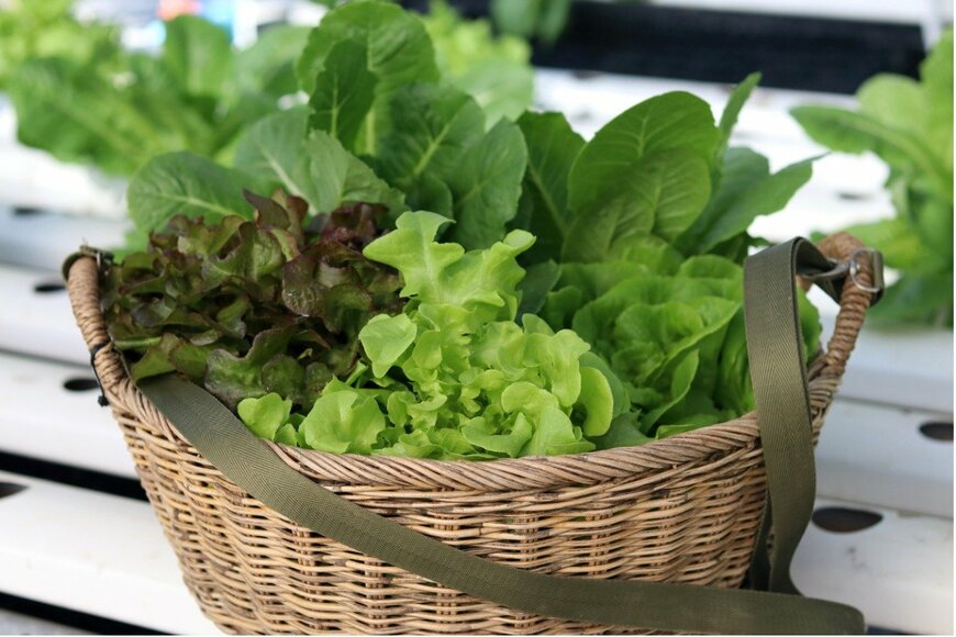 Charlie Waradee/istockphoto.com