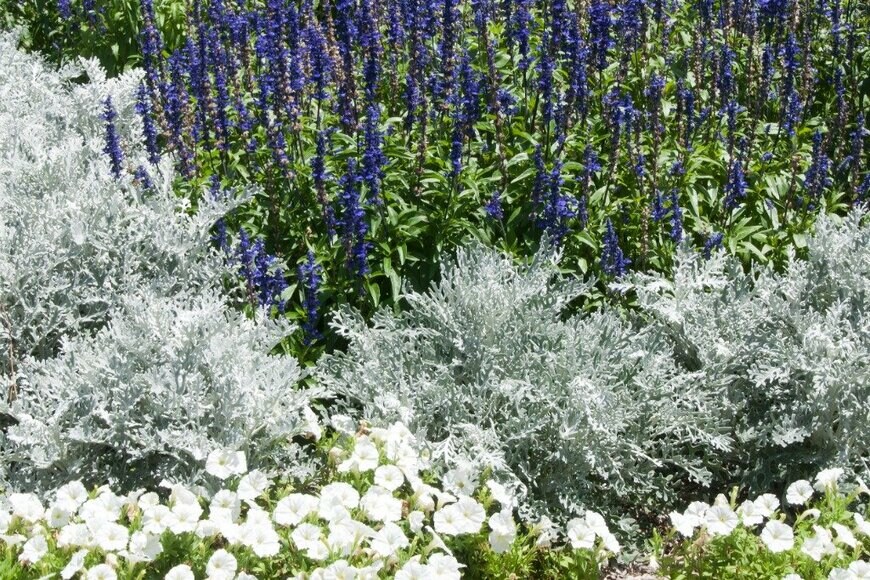 Karin de Mamiel/istockphoto.com