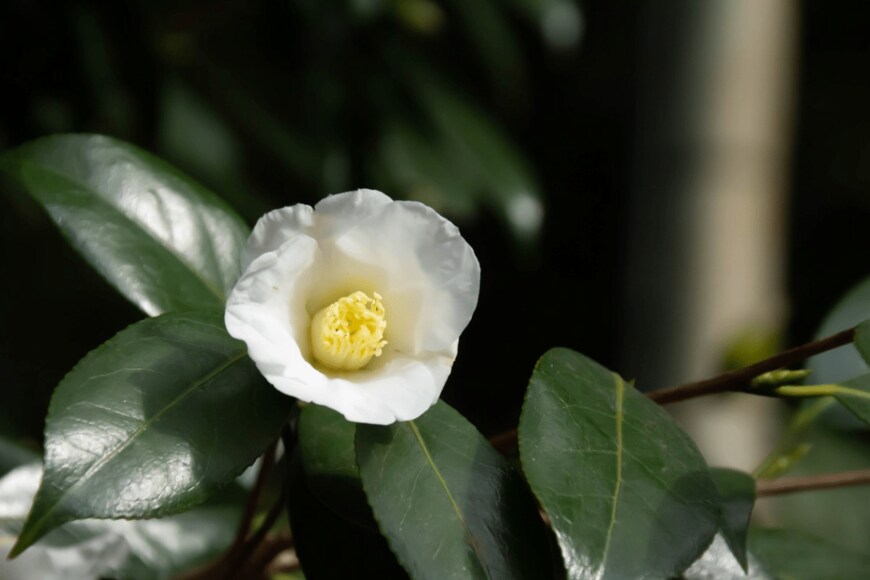 c11yg/istockphoto.com