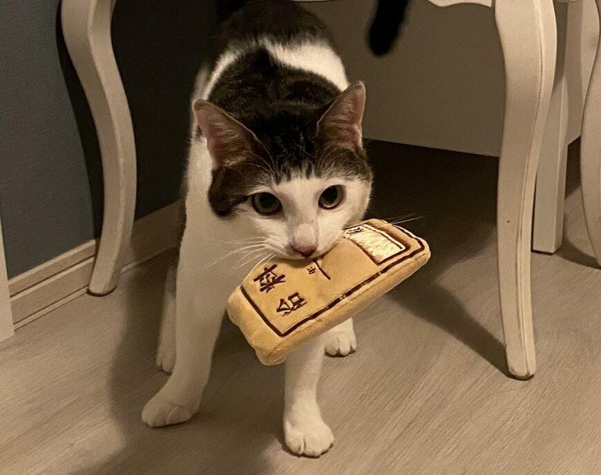 出所：@Saeroyi_cat