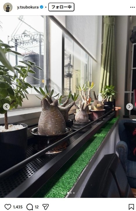 出所：坪倉由幸のInstagram（＠y.tsubokura）参照日：2025年11月7日
