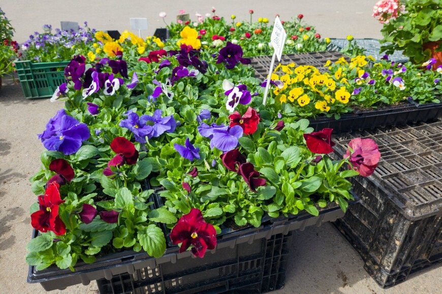 Milanchikov/istockphoto.com