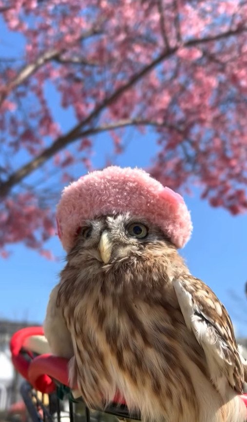 出所：@cr8673.hiro