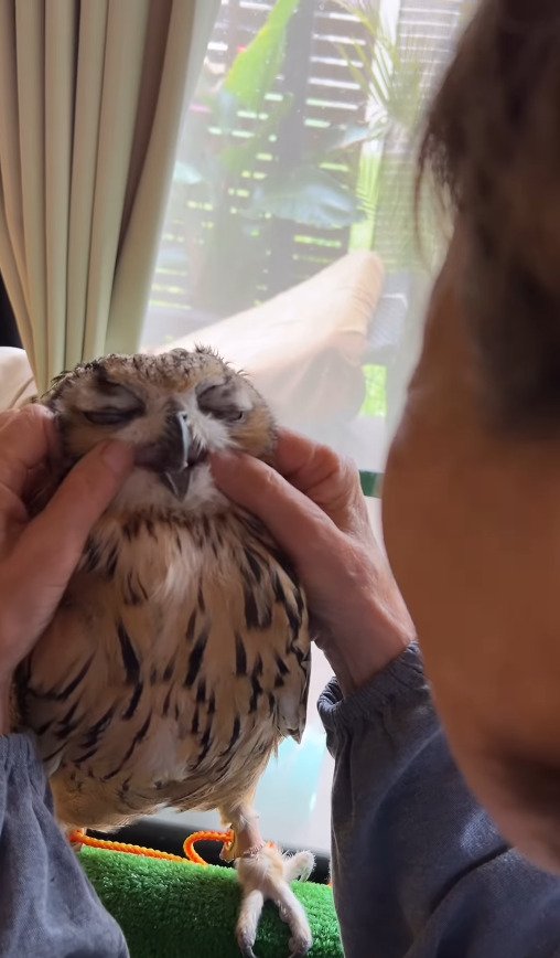 出所：@ba_chantolatte