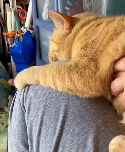 出所：@luna7taka9