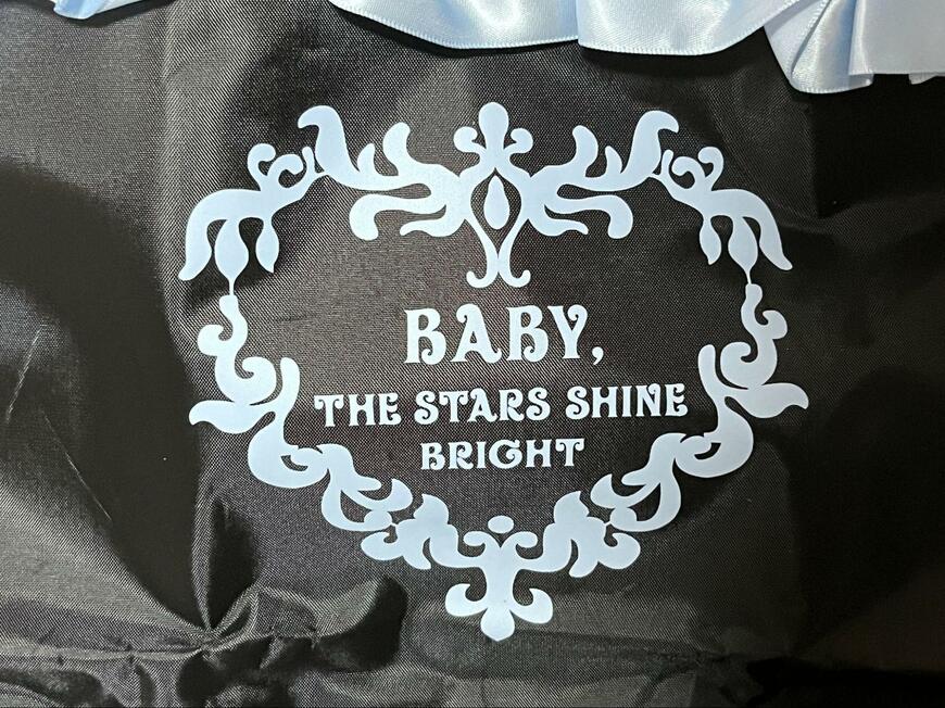 筆者撮影（Sho-Comi　19・20合併号、サテンフリルビッグトートバッグ）