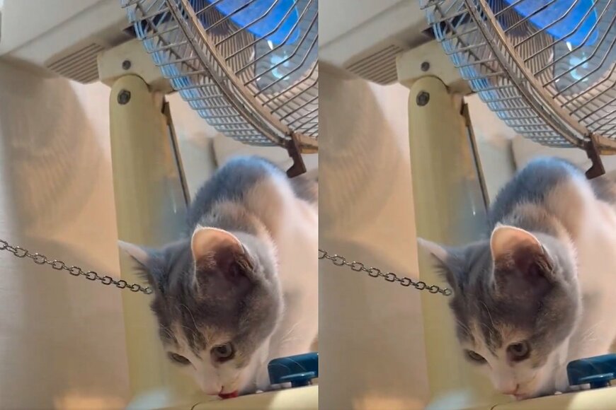 出所：@omochi_nam01