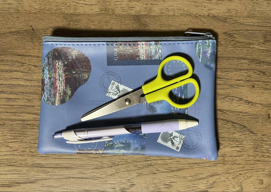 ペンケースとしても使えそう！サイズは110mm×170mm／筆者撮影（セリア、SJI-13693 合皮 フラットポーチ VG＆CM）