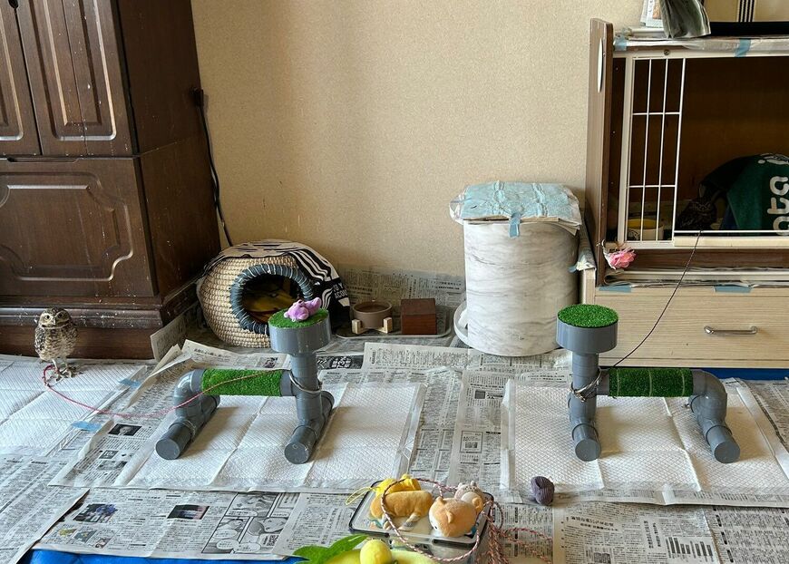 出所：@chimaki_anahori