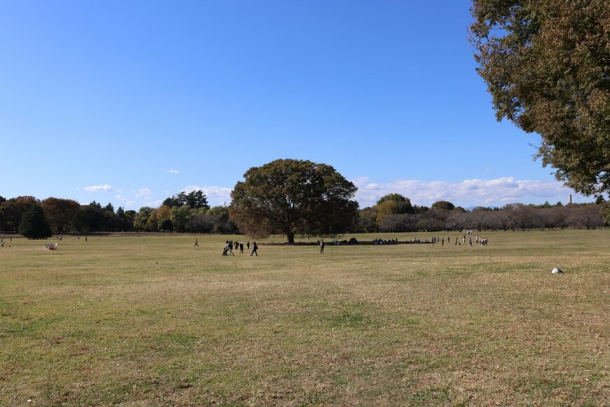 出所：筆者撮影