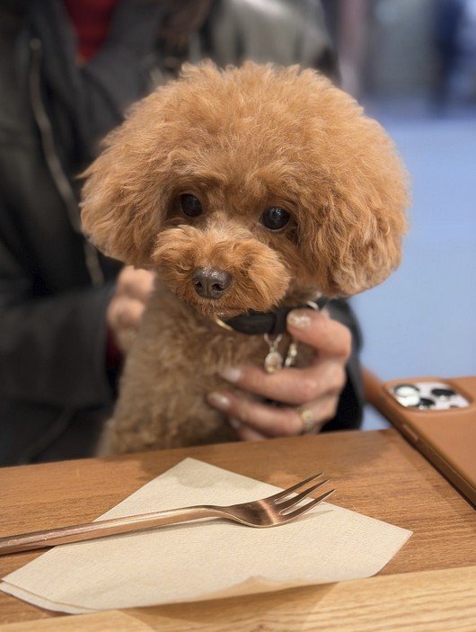 出所：柏木由紀子の公式ブログ　参照日：2026年3月9日