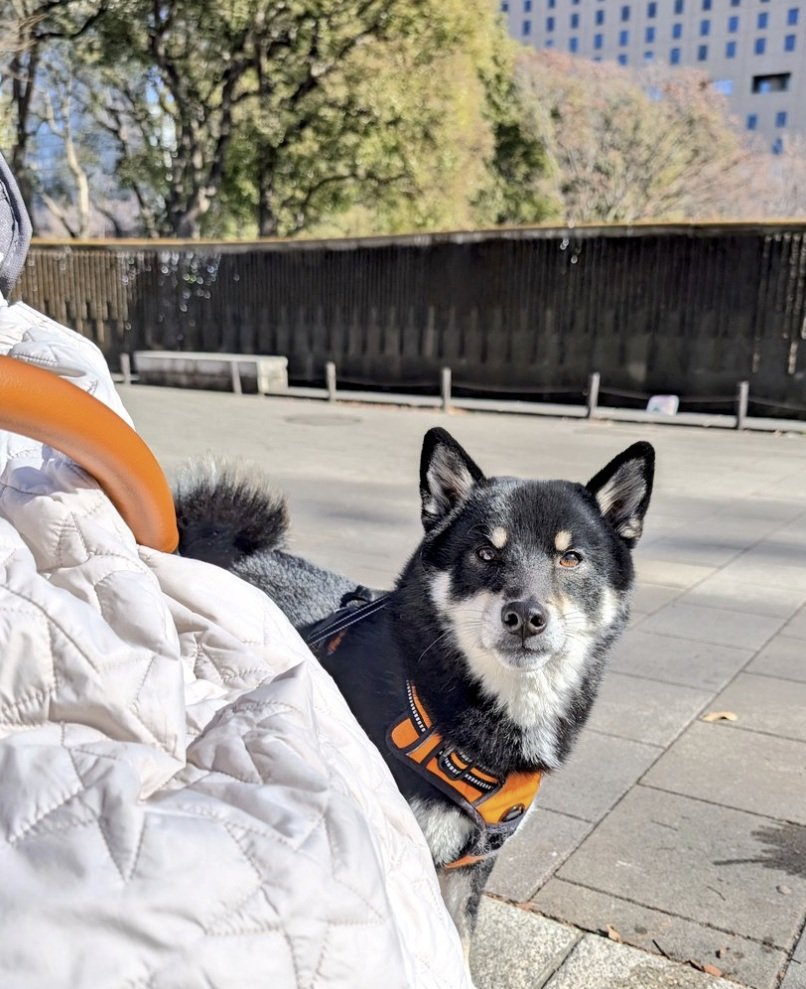 出所：@BLshiba_tensuke