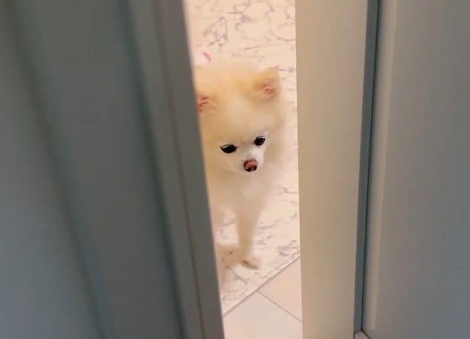 出所：@boku_ponchan