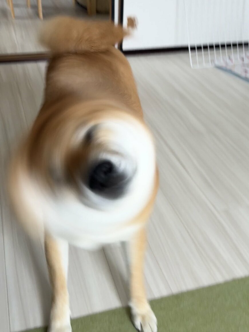 出所：@fufufufufu_ta