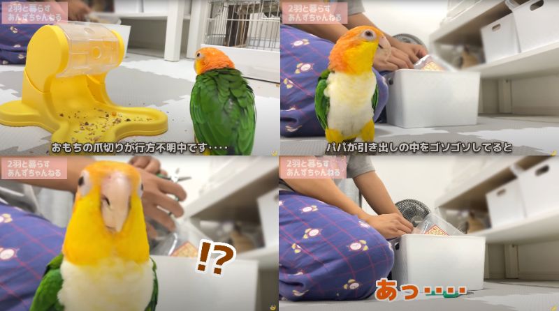 出所：@anz_omomiri