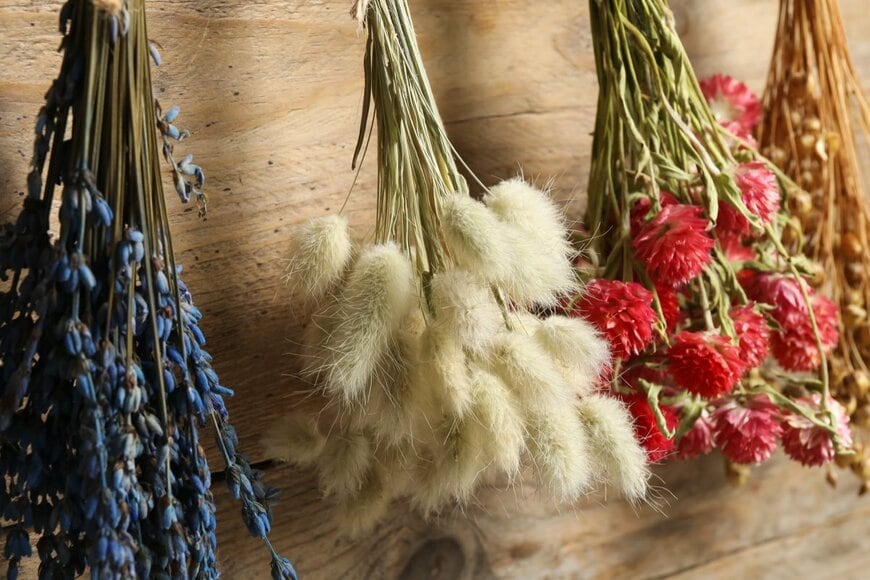 New Africa/shutterstock.com