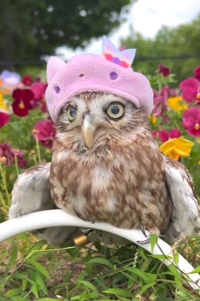 出所：@cr8673.hiro