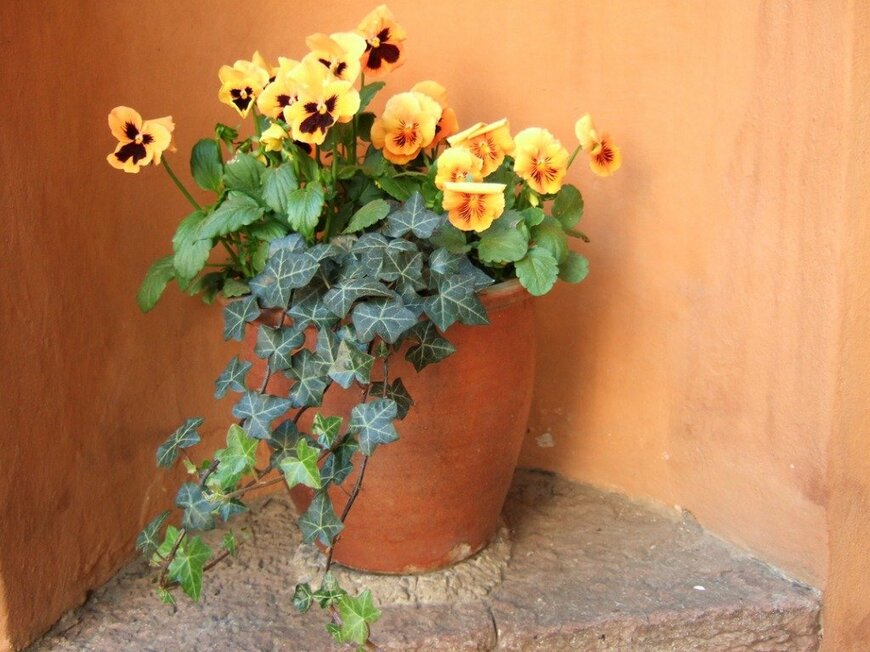 LGronwall/istockphoto.com