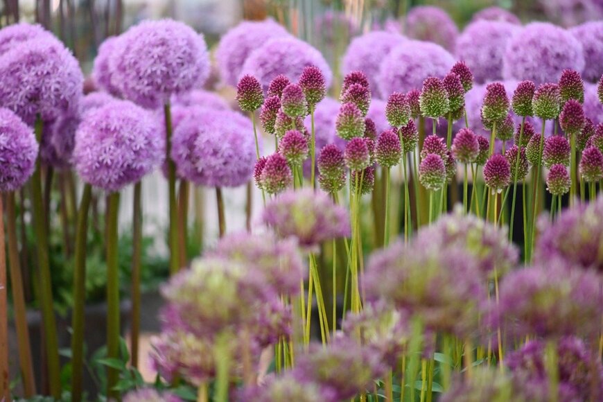 BethAmber/istockphoto.com