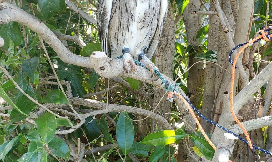 出所：@joker1999jr