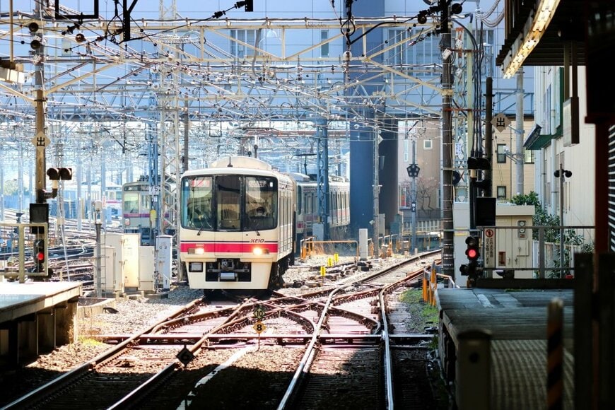 icosha/shutterstock.com