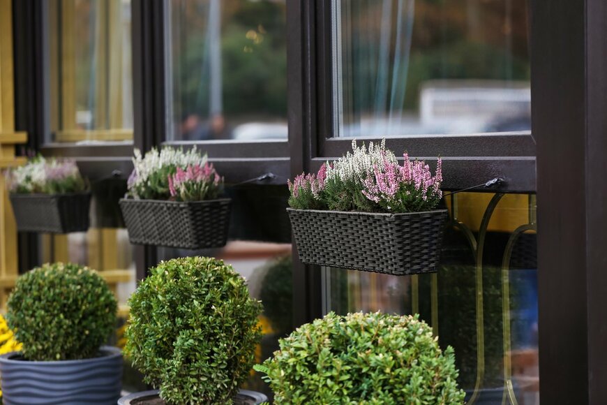 Africa Studio/Shutterstock.com