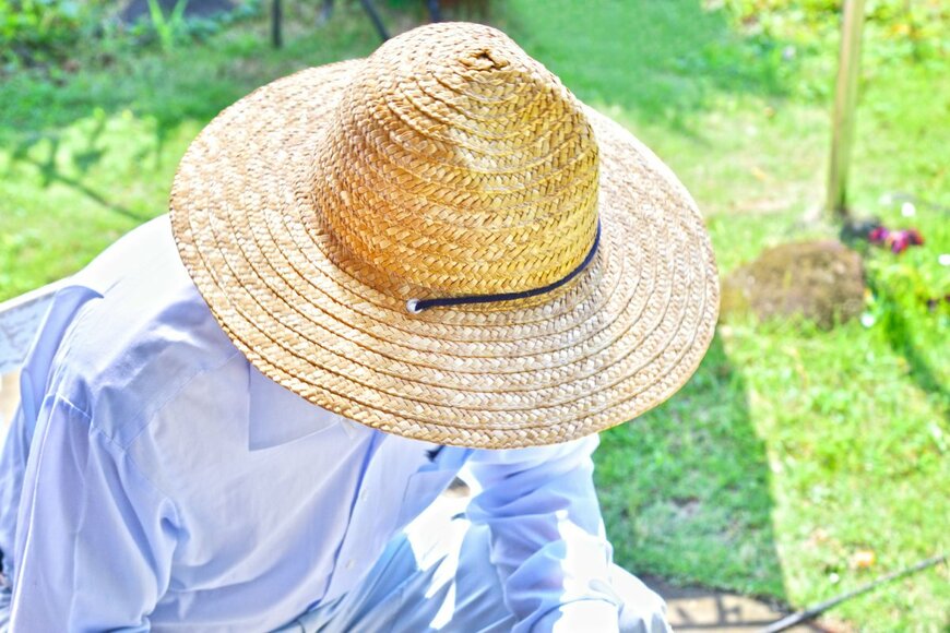 TAKENINE/shutterstock.com