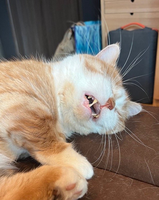 出所：@kotaro_0315