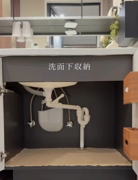【洗面収納】ニトリ×100均アイテムで洗面所下の収納スペースを「すっきり使いやすい空間」に！