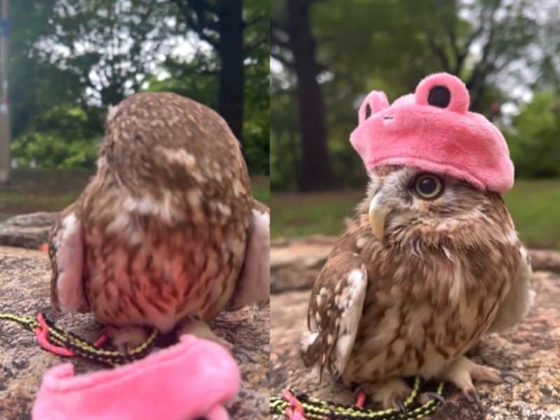 出所：@cr8673.hiro