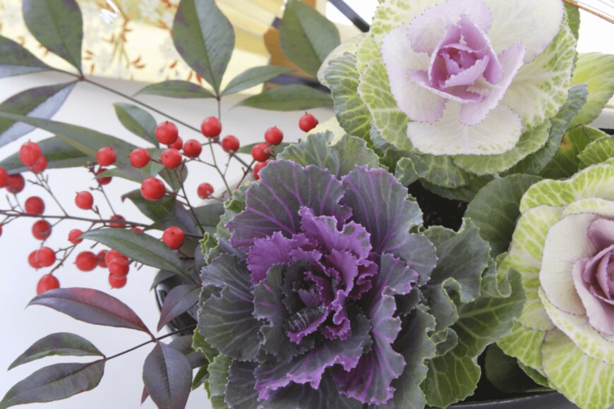 KPG-Payless2/shutterstock.com