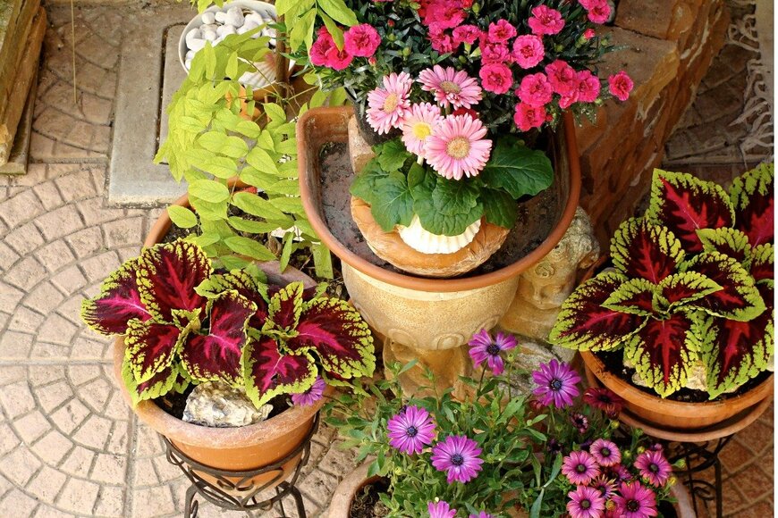 Larisa13/istockphoto.com