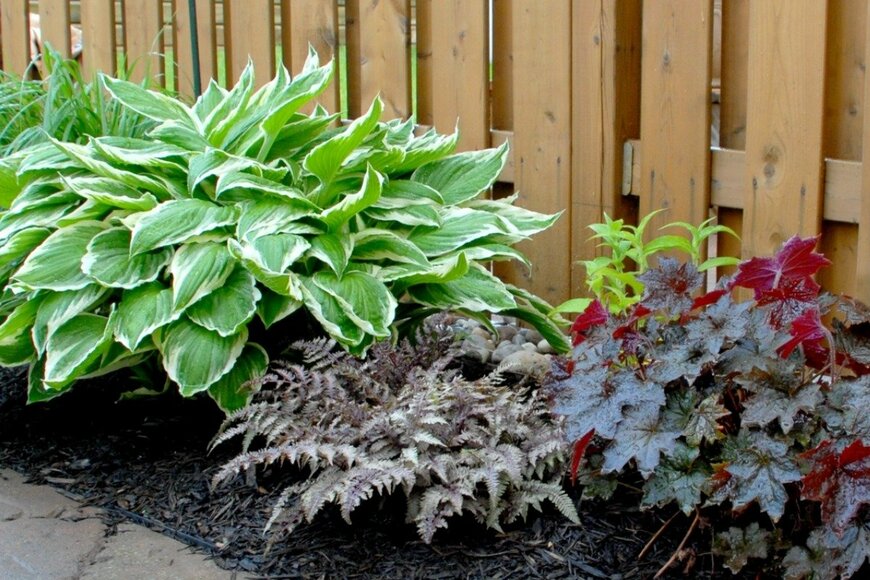 SkyF/istockphoto.com