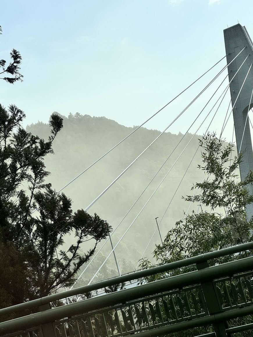 霧に見えますが花粉です…