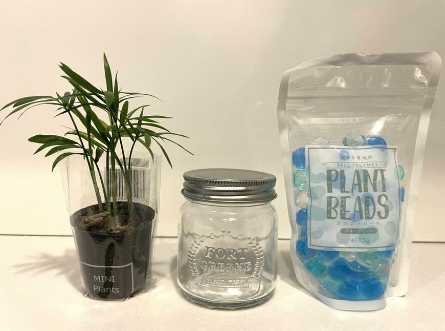 キャンドゥ「プラントビーズ ブルーグリーン」「グラスジャー270ml」「テーブルヤシ」