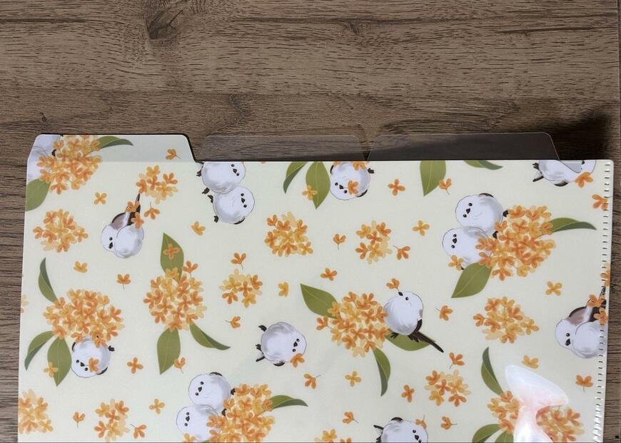 キャンドゥ、02KSA4クリアホルダー3ポケット画像