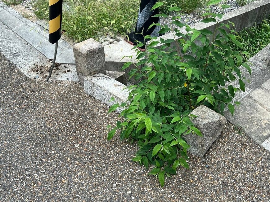 小さな欄干