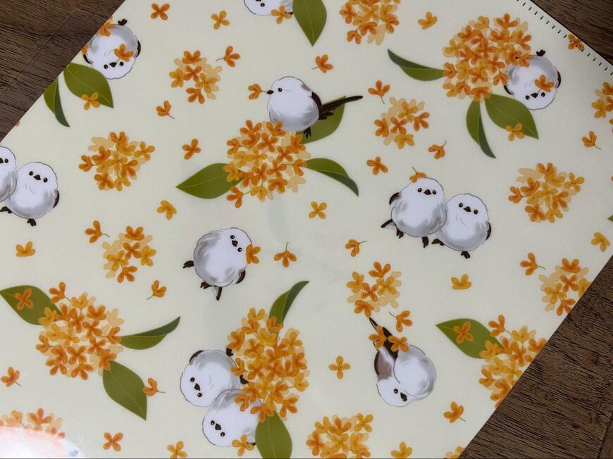 キャンドゥ、02KSA4クリアホルダー3ポケット画像