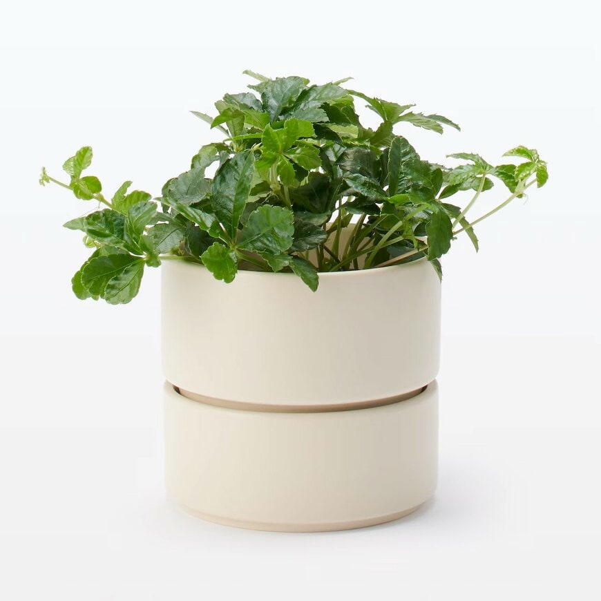 無印良品　磁器鉢　3.5号