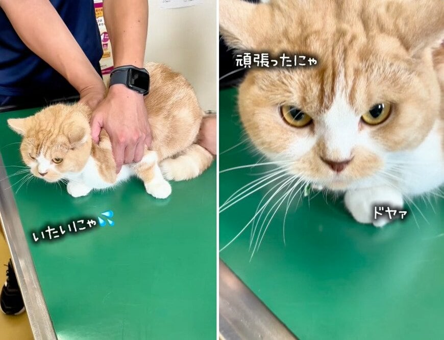 投稿の画像
