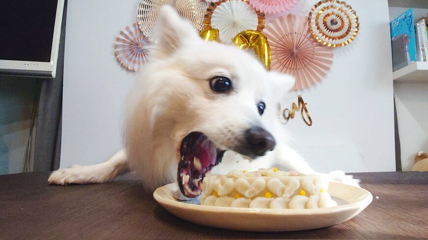 ケーキをおいしそうに食べる様子