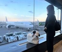 飛行機に乗る時に覚えておくこと6選！旅行好き元CAの解説に「なるほど」「知らなかった！」の声