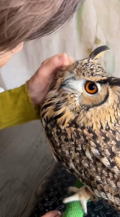 投稿動画のワンシーン