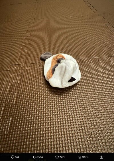 北川景子のX投稿