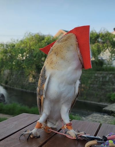 投稿動画のワンシーン