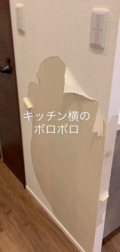 投稿の画像